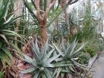 garten.ch